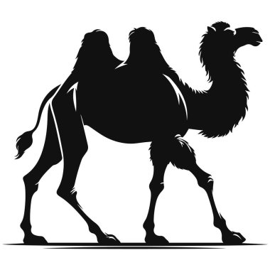 Vahşi Yaşam Sanatı, Seyahat Zirvesi ve Egzotik Hayvan Tasarımları için Çöl Yürüyen Deve Silueti Kara Vektör Grafiği.