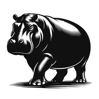 Su aygırı silueti, su hayvanı Clipart safari vahşi yaşam baskıları ve doğa için yürüyen siyah vektör.