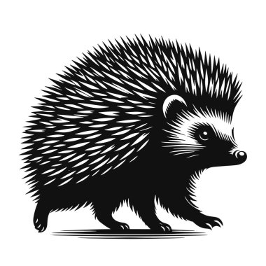 Kirpi siluetinin vektör çizimi orman hayvanı sanatı ve vahşi yaşam tasarımları için yürüyor.