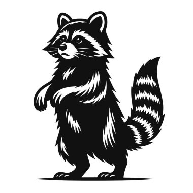 Rakun silueti, orman yaban hayatı için dik duran siyah vektör hayvan doğası grafikleri ve sevimli sanat eserleri.