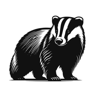 Orman ve doğa temalı tasarımlar için porsuk siluetinin vektör çizimi