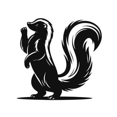 Vahşi yaşam için yükseltilmiş kuyruk siyah vektörü olan kokarca silueti hayvan doğası sanat ve grafikleri.