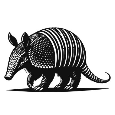 Çöl yaban hayatı klibi ve kabuk hayvan sanatı için yürüyen armadillonun siyah vektör silueti