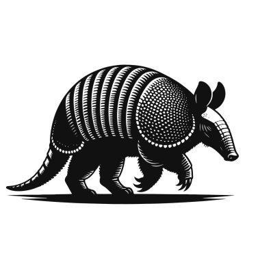 Çöl yaban hayatı klibi ve doğa sanatı için yürüyen armadillo siluetinin vektör çizimi