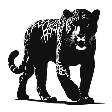 Vahşi yaşam için yürüyen siyah vektör Jaguar silueti büyük kedi sanatı ve doğa hayvan grafikleri.