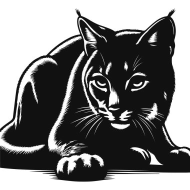 Vahşi kedi hayvan sanatı ve orman yaban hayatı tasarımları için çömelmiş vaşak siluetinin vektör çizimi