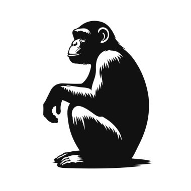 Vahşi yaşam iklimi ve primat hayvan sanatı için oturan şempanzenin siyah vektör silueti