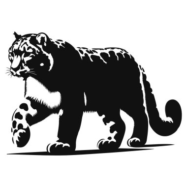 Vahşi kedi hayvan sanatı ve dağ yırtıcısı grafikleri için yürüyen kar leoparı siluetinin vektör çizimi