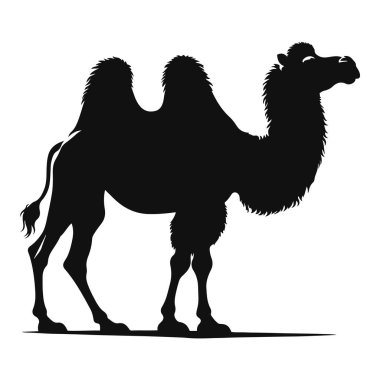 Çölde vahşi yaşam için hörgüçlü devenin siyah vektör silueti ve kurak iklim hayvan sanatı