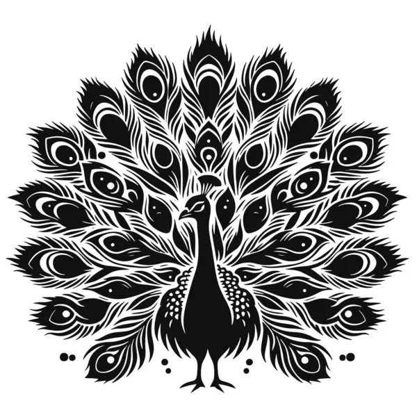 Fanned Feather Tavus kuşu silueti Egzotik Kuş Sanatı, Vahşi Yaşam Çizimleri ve Doğa Temalı Tasarımlar için Siyah Vektör