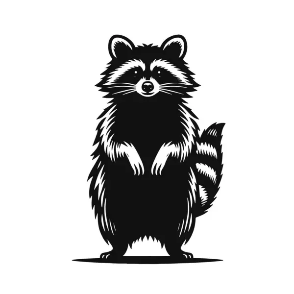 Rakunun siyah vektör silueti orman yaban hayatı klibi ve şirin doğa sanatı için dik duruyor.