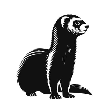 Dağ gelinciğinin siyah vektör silueti evcil hayvan ya da vahşi hayvan klipsi ve sinsi vücut şekli sanatı için tetikte.