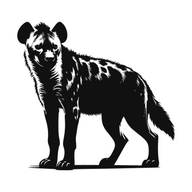 Kara vektör silueti, leşçi yırtıcı hayvan için ayakta duran sırtlan, vahşi yaşam ve doğa tasarımı.
