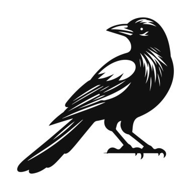 Orman kuşu vahşi yaşamı ve zeki hayvan doğası sanatı için tünemiş saksağan silueti siyah vektör.