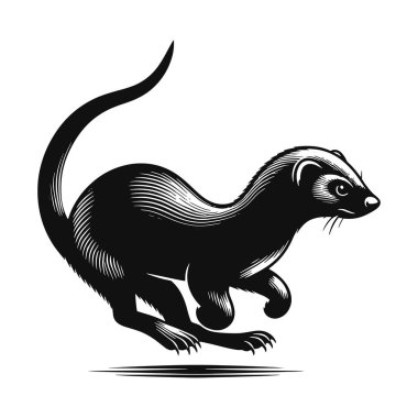 firavun faresi silueti çevik vahşi yaşam için siyah vektör çalışıyor klipart hayvan ve doğa tasarımı