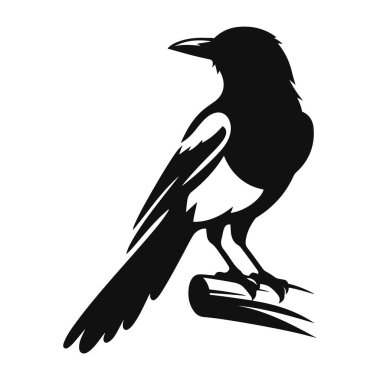 Saksağan silueti orman kuşları için siyah vektör tünemiş.