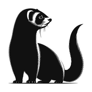 Dağ gelinciği silueti. Vahşi yaşam ve hayvan doğası sanatı için siyah vektör.