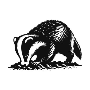 Orman yaban hayatı ve hayvan doğası için kazılan porsuk siluetinin vektör çizimi