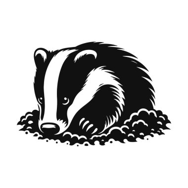 Orman yaban hayatı kuyusu kazmak ve hayvan tasarımı için porsuğun siyah vektör silueti