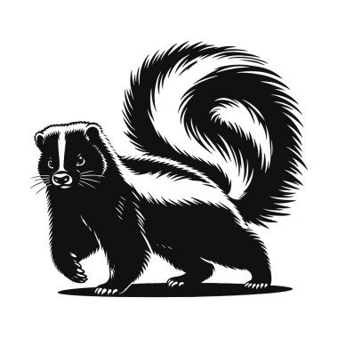 Yürüyen kokarca silueti vahşi yaşam için kara vektör ve kokulu hayvan doğası sanatı.