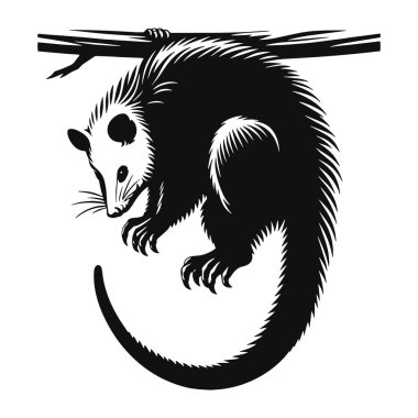 Keseli sıçan silueti gece keseli vahşi yaşam ve doğa hayvan sanatı için siyah vektör asılı.