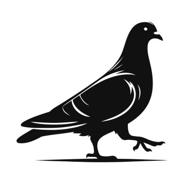 Şehir kuşu vahşi yaşamı ve barışçıl hayvan doğası sanatı için yürüyen güvercin siluetinin vektör çizimi