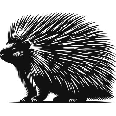 Dikenli vahşi kemirgen ve orman doğası sanatı için ayakta duran kirpi siluetinin vektör çizimi