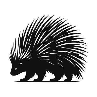 Dikenli kemirgen kümesi ve orman hayvan tasarımı için ayakta duran kirpinin siyah vektör silueti