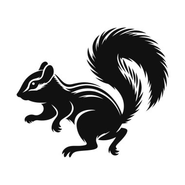 Orman yaban hayatı ve küçük kemirgen doğa tasarımı için çalışan sincap silueti siyah vektör