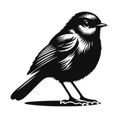 Bahçe yaban hayatı için ayakta duran Robin 'in siyah vektör silueti.