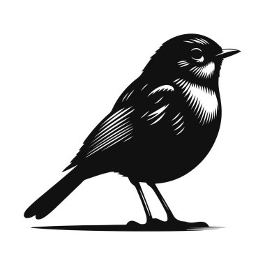 Robin silueti, bahçe kuşu vahşi yaşamı için ayakta duran siyah vektör doğa ve bahar hayvan tasarımı.