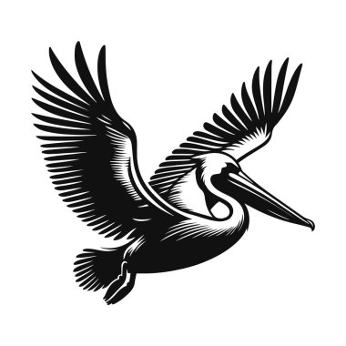 Uçan pelikanın siyah vektör silueti. Kıyı yaban hayatı kliması ve büyük kuş sanatı için.