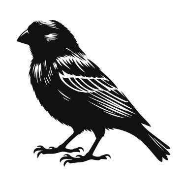 Küçük kuş ve ötücü doğa tasarımı için tünemiş kanarya siluetinin vektör çizimi