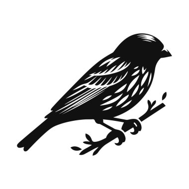 Ötücü kuş vahşi hayatı ve küçük kuş doğa tasarımı için tünemiş kanarya silueti siyah vektör