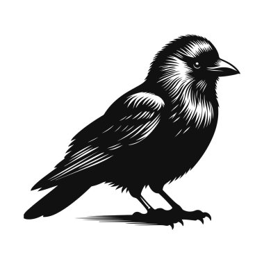 Vahşi yaşam için ayakta duran karga siluetinin siyah vektör silueti ve kuş doğası sanatı