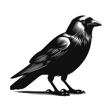Durmakta olan karga silueti akıllı kuş vahşi yaşamı ve korvid hayvan doğası tasarımı için siyah vektör