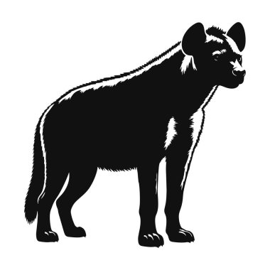 Leş yiyici vahşi yaşam ve hayvan doğası sanatı için ayakta duran sırtlan siluetinin vektör çizimi