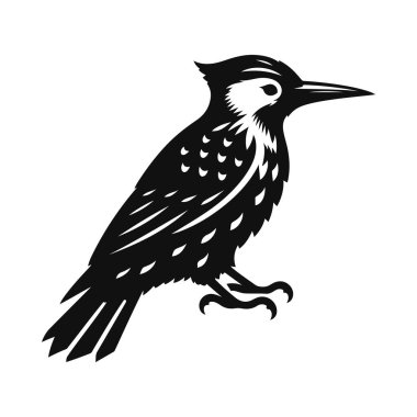 Ağaçkakan silueti orman yaban hayatı için siyah vektör, kuş, böcek, hayvan ve doğa tasarımı.