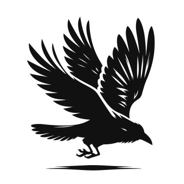 Uçan karga siluetinin vektör çizimi. Şehir yaban hayatı klipleri ve akıllı hayvan sanatı için.