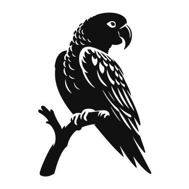 Tropikal vahşi yaşam klibi ve renkli hayvan sanatı için tünemiş papağanın siyah vektör silueti