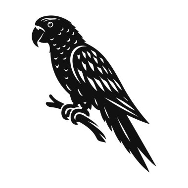 Papağan silueti tropikal yaban hayatı için siyah vektör tünedi.