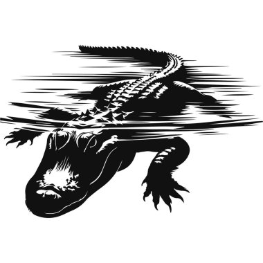 Sudaki vahşi yaşam için yüzen timsah silueti. Sürüngen yırtıcı hayvan ve doğa sanatı.