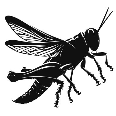 Böcek vahşi yaşamı ve çayır doğa tasarımı için siyah vektör atlayan çekirge silueti