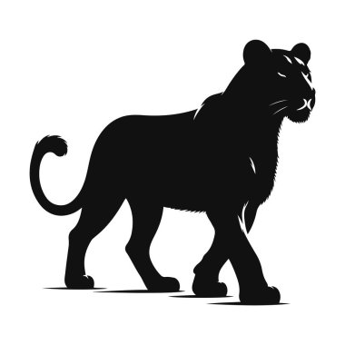 Savannah vahşi yaşam klibi ve dişi yırtıcı kedi sanatı için yürüyen dişi aslan silueti.