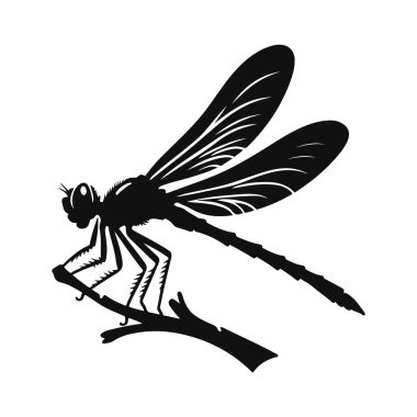 Yusufçuk siluetinin vektör çizimi. Böcek yaban hayatının doruk noktası ve küçük hayvan doğası sanatı için tünemiş.