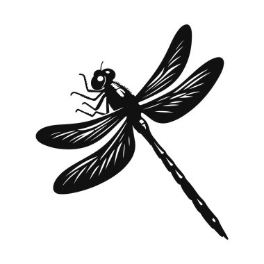 Yusufçuk sineği silueti sulak arazi doğa tasarımı ve böcek yaban hayatı grafikleri için siyah vektör tünedi.