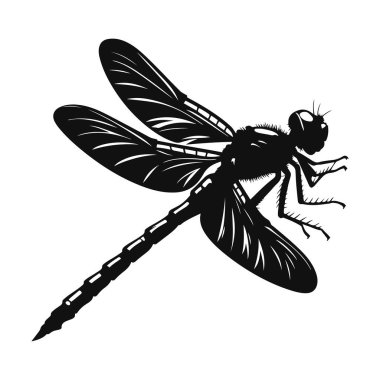 Yusufçuk sineğinin siyah vektör silueti böcekler için tünemiş vahşi yaşam klibiyle küçük hayvan doğası sanatı için
