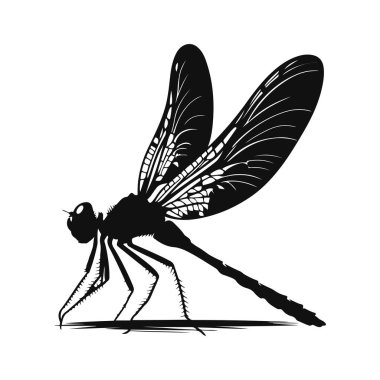 Yusufçuk sineği silueti, böcekler için siyah vektör tünemiş. Küçük hayvan doğası ve sulak arazi tasarımı.