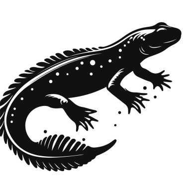 Amfibik yaban hayatı klipleri ve küçük hayvan doğası sanatı için su semenderi siluetinin vektör çizimi