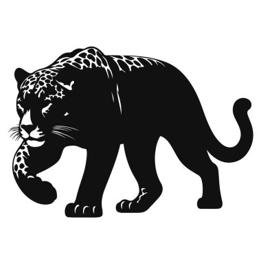 Vahşi yaşam ve görünmez yırtıcı kedi doğa tasarımı için Jaguar silueti sinsi sinsi dolaşır.